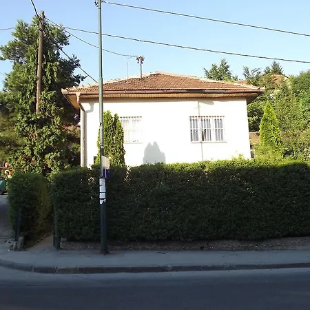 Green * Sarajevo