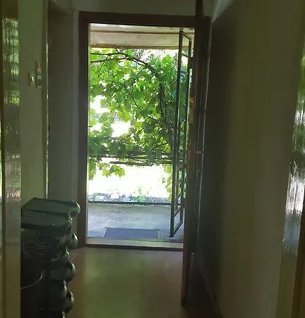 Green Appartement *